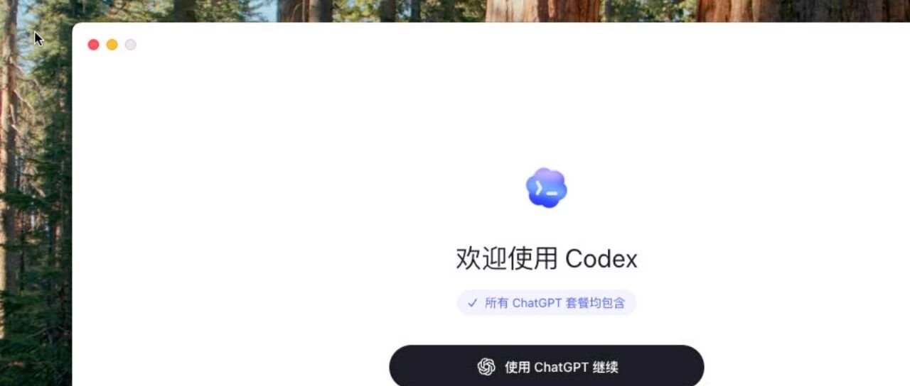 移动端Codex配第三方中转API：Auth层和Model层解耦的奇妙用法